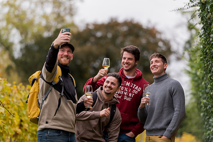 Vier Freunde in den herbstlichen Weinbergen mit Gläsern Wein in der Hand bei einem gemeinsamen Selfie
