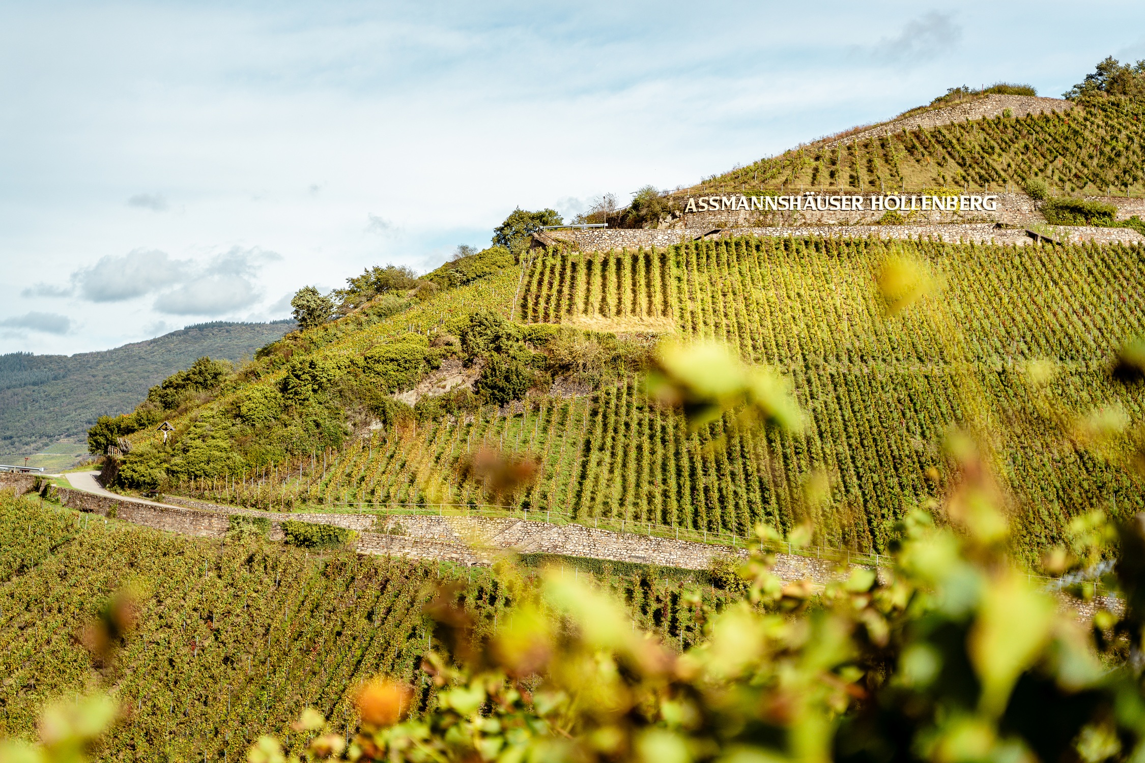 Lage Rheingau