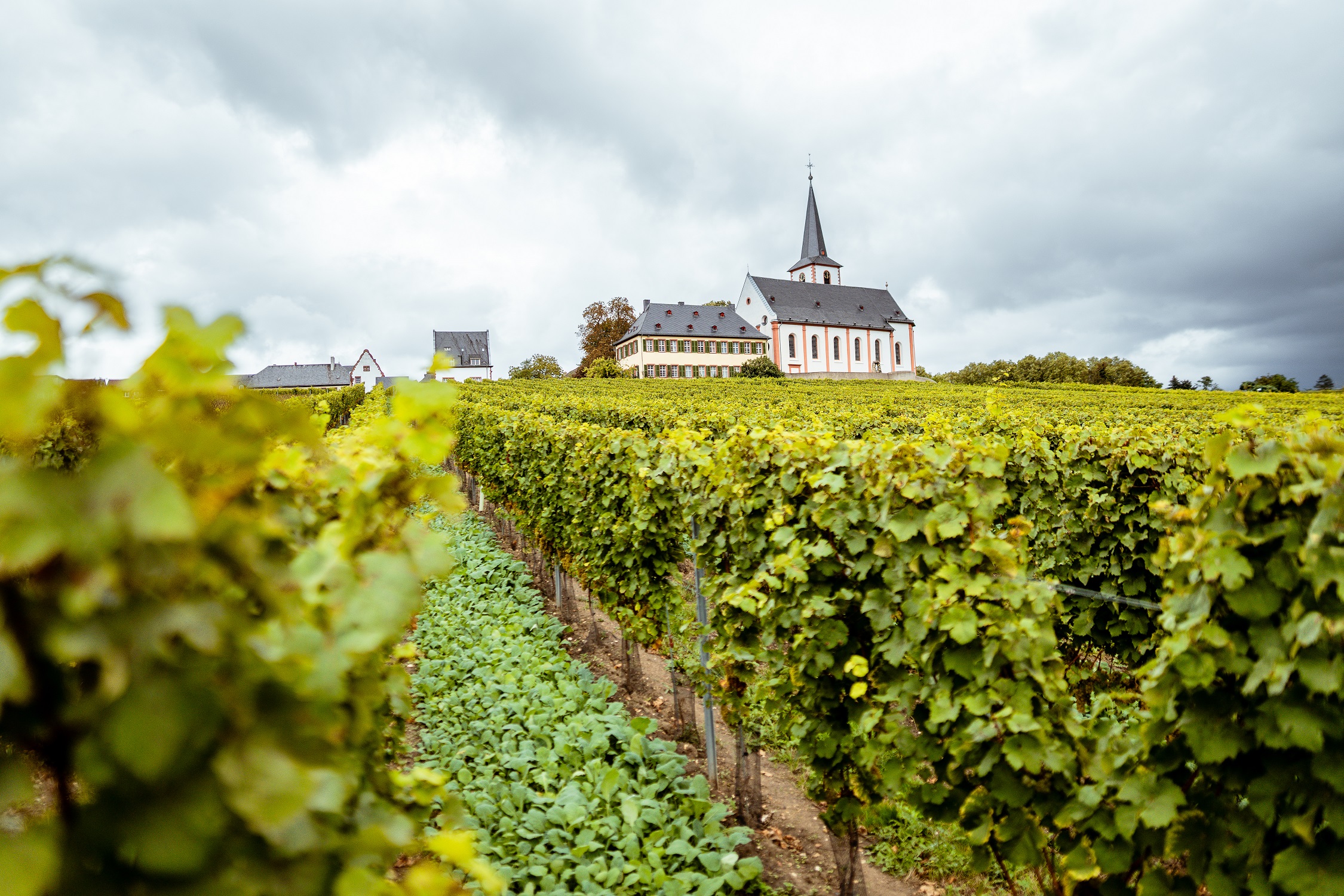 Lage Rheingau