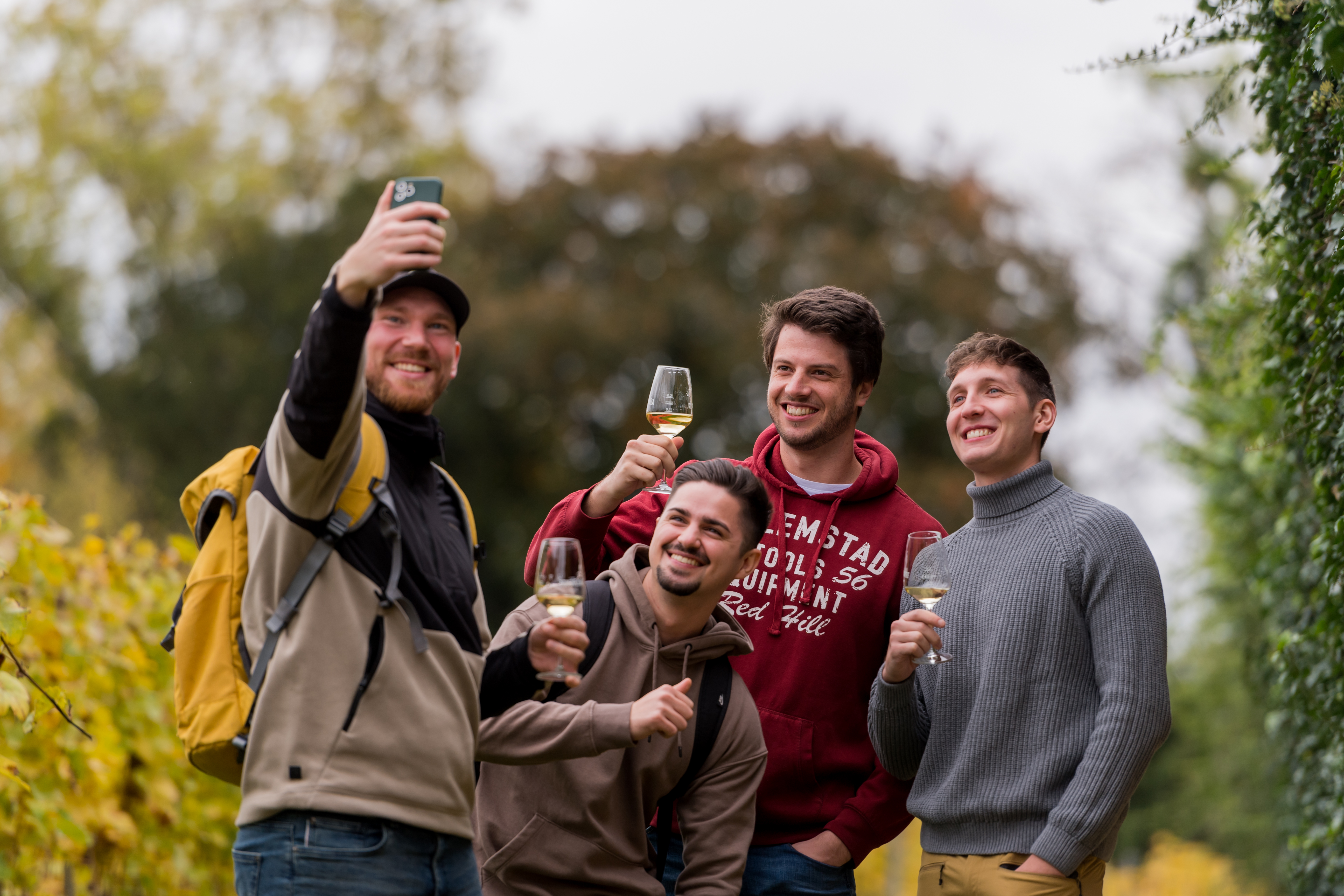 Vier Freunde in den herbstlichen Weinbergen mit Gläsern Wein in der Hand bei einem gemeinsamen Selfie